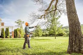  Sutter, CA Tree Removal and Landscaping Services Pros